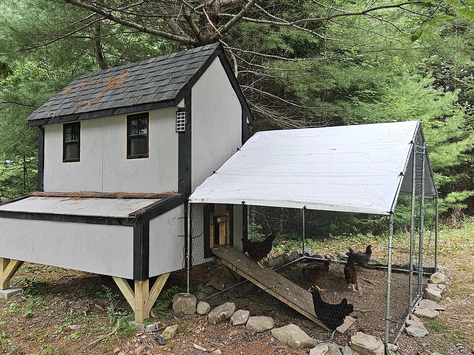 Over 300 Feet of Sandy Pond Frontage on 9.57 Private Acres