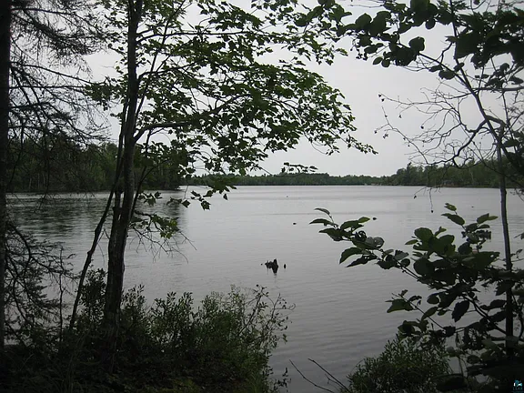 A Log Cabin on Garden Lake, With the Boundary Waters Next Door