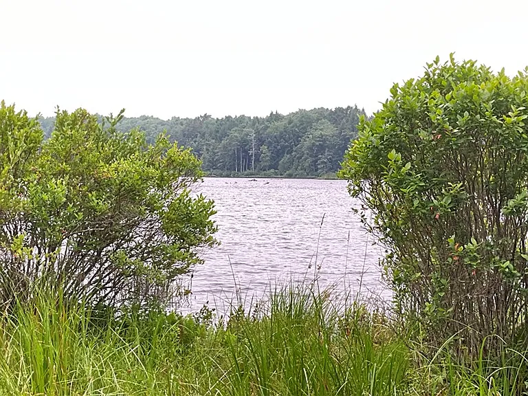 An Adirondack-Style Cabin on 300 Feet of a 35-Acre Pond