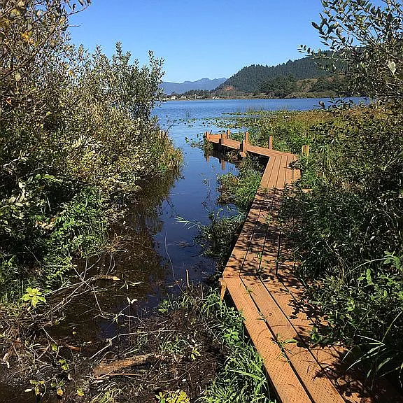 A Boardwalk to Lake Lytle, Steps From a Seven-Mile Ocean Beach