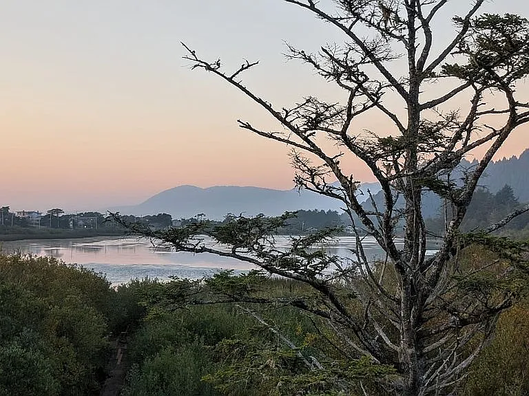 A Boardwalk to Lake Lytle, Steps From a Seven-Mile Ocean Beach