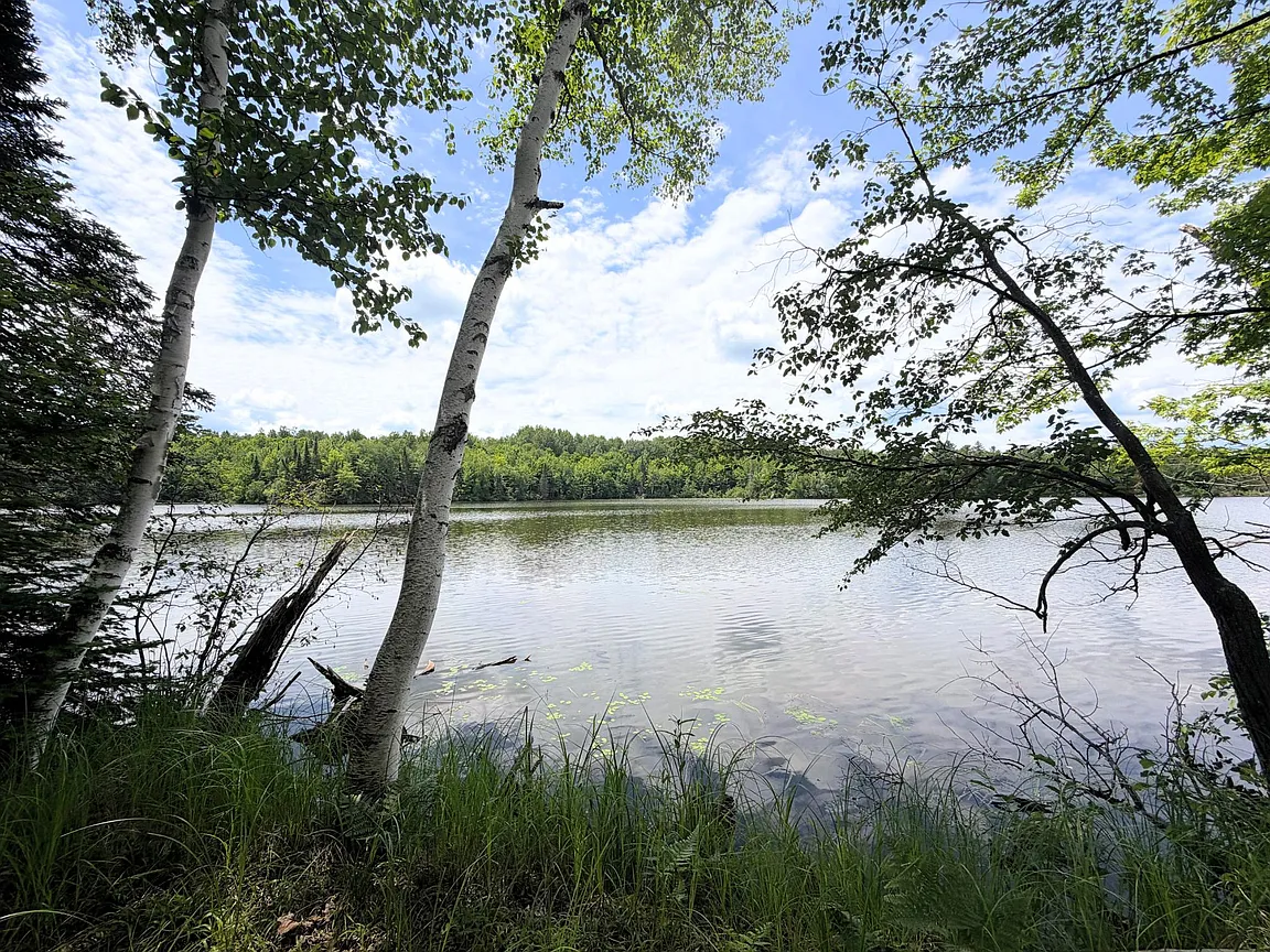 Fifteen Acres of Private Islands on Musser Lake — Boat Access Only