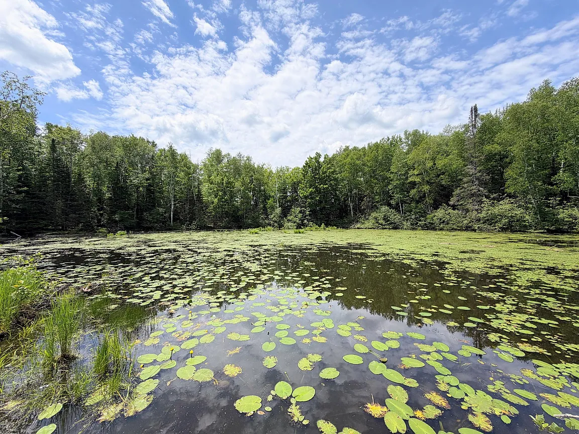 Fifteen Acres of Private Islands on Musser Lake — Boat Access Only