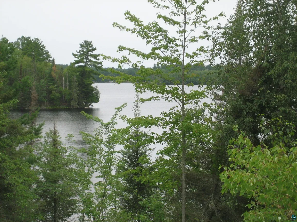 A Log Cabin on Garden Lake, With the Boundary Waters Next Door